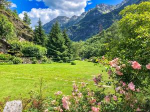a field of flowers with mountains in the background at Chalet La Baita in Baceno