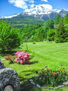 a field of flowers with a mountain in the background at Chalet La Baita in Baceno +18 photos