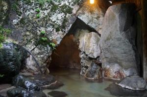 Φυσικό τοπίο κοντά σε αυτό το ryokan