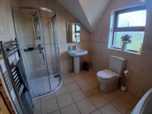 a bathroom with a shower and a toilet and a sink at Oaktree Manor - BBQ, games rooms and pet friendly in Castlewellan +38 photos