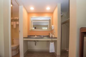 a bathroom with a sink and a mirror and a toilet at Colonnade Inn in Lyndonville