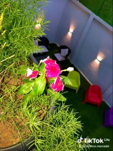 Bordj el KiffanRésidence touristique marcadal的相册照片