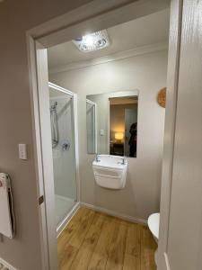 a bathroom with a sink and a toilet and a mirror at Private 1 br mini house in Dunedin