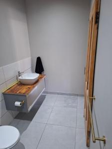a bathroom with a sink and a toilet at Fig Tree in Colesberg +40 photos