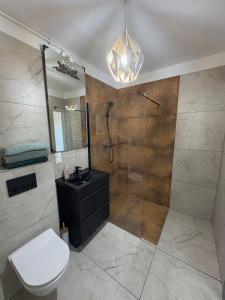 a bathroom with a shower and a toilet and a sink at Apartament nad Wartą Śrem in Śrem