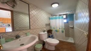 Un baño con lavabo, inodoro y ducha. en La Lonja 2, en Valle Gran Rey 40 fotos más