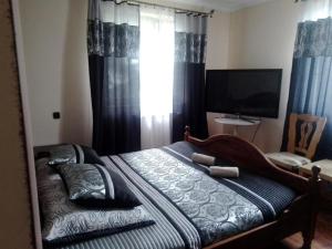 a bedroom with a bed and a television and curtains at Studio z dwiema sypialniami i prywatną łazienką z wanną in Sandomierz
