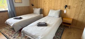 two beds in a room with wooden walls at Hotel Belle Étoile in LʼHuez +12 photos