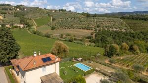 Příroda nedaleko vily