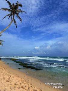 a palm tree on a beach with the ocean at Freedom Villa in Kamburugamuwa +11 photos