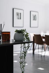 Gallery image of Grand and Serene Family Stay with Alfresco Living in Doolandella