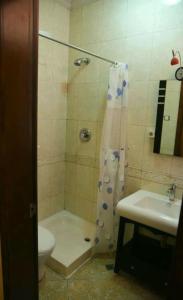 a bathroom with a shower and a toilet and a sink at Diplomat Furnished Apartments in Addis Ababa +8 photos