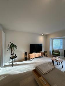 sala de estar amplia con TV de pantalla plana. en Bright and spacious duplex apartment by the sea - De Panne, en De Panne