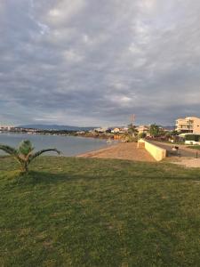 a beach with a palm tree next to a body of water at Ani in Povljana