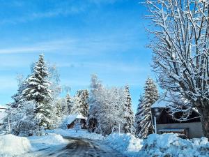 une route enneigée avec des arbres couverts de neige et une maison dans l'établissement Apartment Bellentre Chalet le Pommier 5 by Interhome, à Bellentre