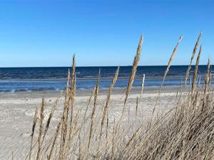a beach with tall grass in front of the ocean at Holiday Home Har - 1-2km from the sea by Interhome in Sæby