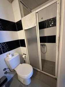 a bathroom with a toilet and a shower at İzmir homes in Buca