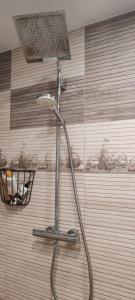 e bagno con doccia e soffione. di Vila Dona a Budeni