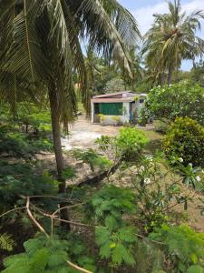 a house in the middle of a field with a palm tree at Diani Beach Relax in Diani Beach