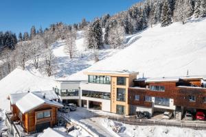 Bachgut, das Resort am Berg - Chalet 3 ในช่วงฤดูหนาว