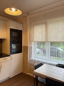 Dapur atau dapur kecil di Cat Garden Classic Apartments Riga