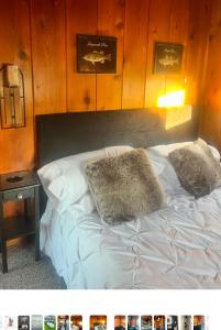 a bed with two pillows on it in a room at Off the Hook in Newaygo
