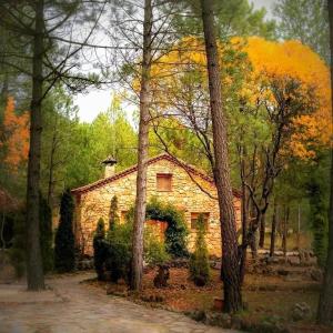 a stone house in the middle of a forest at Casas rurales FUENTE EL OJICO in Riópar