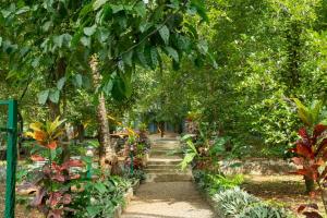 a garden with stairs and trees and plants at Villa La Vista Homestay in Calicut
