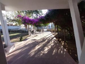 eine Terrasse mit lila Blumen, die von einer Pergola hängen in der Unterkunft Cold Fence in Frías