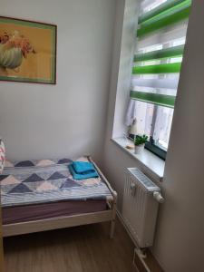 a small bedroom with a bed and a window at Fridolin in Reichenbach im Vogtland