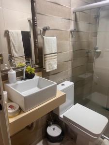 Et badeværelse på Apartamento aconchegante.