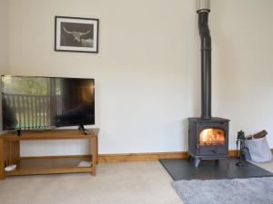 a living room with a fireplace and a tv at Quarry Cottage in Penrith