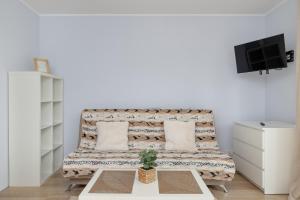 TV a/nebo společenská místnost v ubytování Studio z Parkingiem i Balkonem w Krakowie by Rent like home