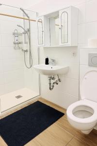 a bathroom with a toilet and a sink and a shower at Central Apartment in Vienna