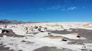 Naturlandskabet i nærheden af bed and breakfast-stedet