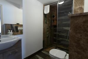 Un baño con ducha, inodoro y lavabo. en YellowBoot Aparthotel, en Sibiu 80 fotos más