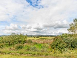 a field with grass and trees and a cloudy sky at Old Hall Cottage No 1 in Byers Green