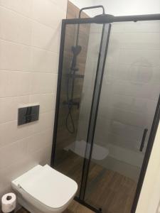 ein Badezimmer mit Toilette und Glasdusche in der Unterkunft Villa Green House in Tscherweni Breg + 42 Fotos