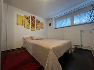 a bedroom with a bed in a room with a window at Cozy Pet Friendly Apartment Freshly Renovated in Maribor