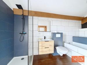 a bathroom with a shower and a toilet and a sink at Wimereux, maison familiale entre plage et campagne in Wimille +20 photos