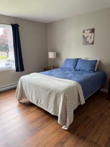 a bedroom with a bed with blue sheets and a window at Vinnecomb Apartments - Ground Floor - 3 Bedroom in St. John's