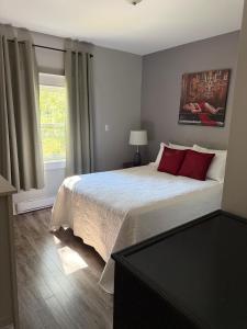 セントジョンズにあるWaterfordbridge Apartments - 1 Bedroom Lowerのベッドルーム1室(赤い枕のベッド1台、窓付)