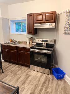 セントジョンズにあるWaterfordbridge Apartments - 1 Bedroom Lowerのコンロとシンクのあるキッチン +1枚の写真