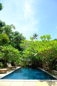 a swimming pool in the middle of a yard with trees at Villa Akasa in Varkala