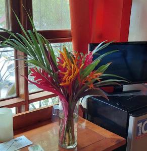a vase filled with colorful flowers sitting on a table at Escape Caribeño in Puerto Viejo