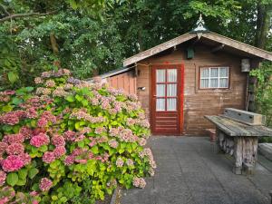 a small wooden cabin with a bench and flowers at Chalet Ankerplatz in Lauwersoog in Lauwersoog