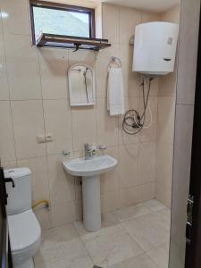 a bathroom with a sink and a toilet at soltanisha in Mestia +50 photos