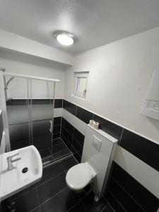 a bathroom with a toilet and a sink and a shower at Monteurwohnung Bochum Wattenscheid in Bochum
