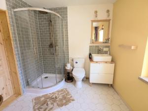 a bathroom with a shower and a toilet and a sink at Ferienhaus Glockenklang in Sangerhausen +11 photos