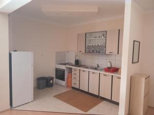 a kitchen with a white refrigerator and a sink at peny apartaman in Ližnjan